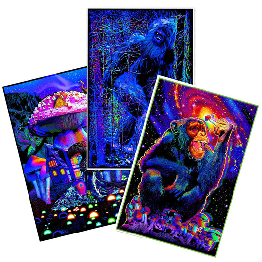 Blacklight Poster - 24"x36" / Non-Flocked