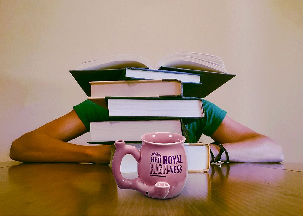 Her royal high-ness small pink mug