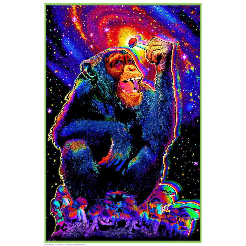 Blacklight Poster - 24"x36" / Non-Flocked